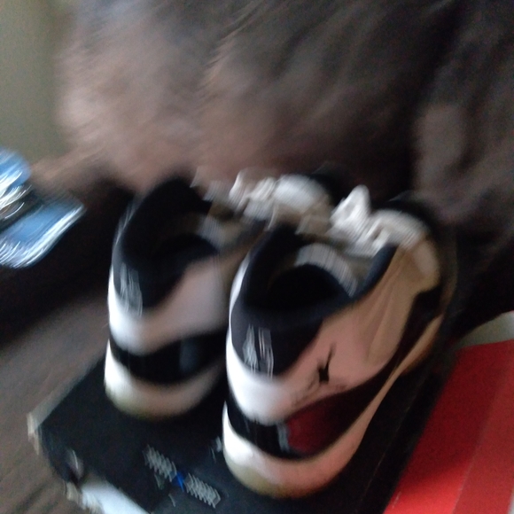 Jordan 11 Concord - Picture 3 of 3